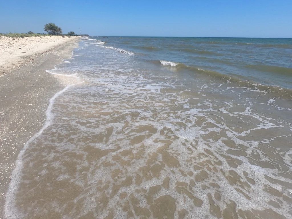 Excursie Plaja Perisor