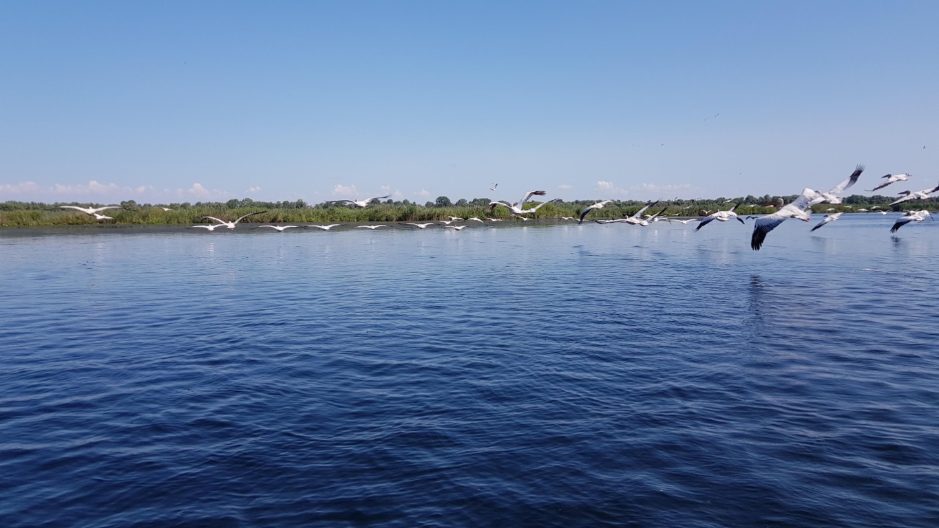 Cand sa Vizitezi Delta Dunarii si Mahmudia